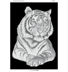 Тигр(част. выш.) ([БС 2063])